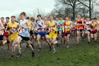 Senior boys 2019 New Balance English Schools Cross Country Champs, Temple Newsam, Leeds. Photo:  David T. Hewitson/Sports for All Pics
